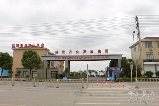 國家級重點龍頭企業(yè)  康宏糧油.jpg