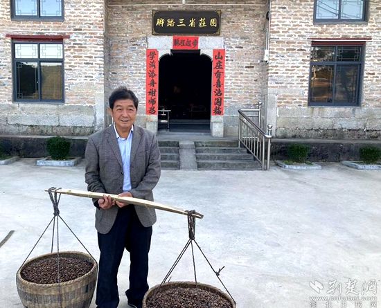 何道關(guān)與自己種的油茶果。黃錚 攝_副本.jpg.jpg