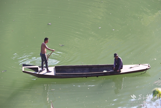 乘船出行、打魚(yú)至今都是盤山村民生活的一部分 黃錚 攝_副本.jpg
