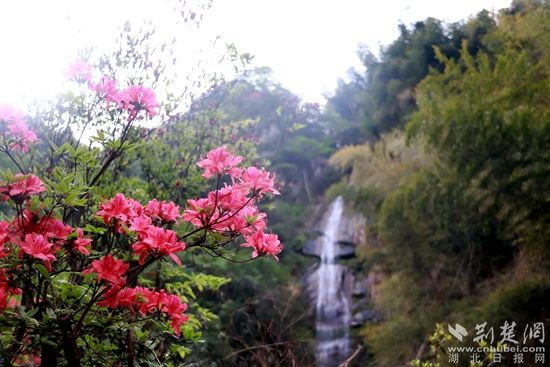 黃龍山頂，風景如畫 黃錚 攝_副本.jpg.jpg