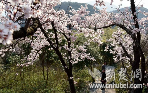 QQ圖片20180315111347.jpg QQ圖片20180315111347.jpg