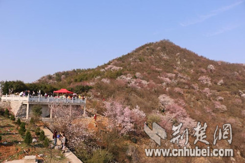 QQ圖片20180315111336.jpg QQ圖片20180315111336.jpg