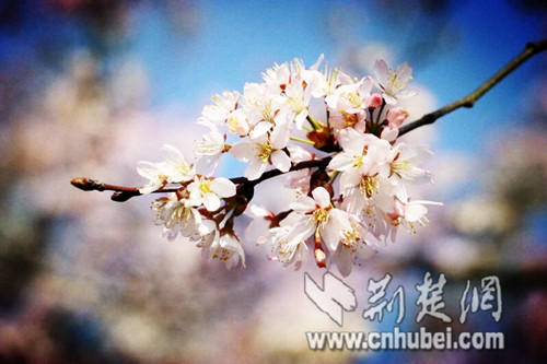 QQ圖片20180315111219.jpg QQ圖片20180315111219.jpg